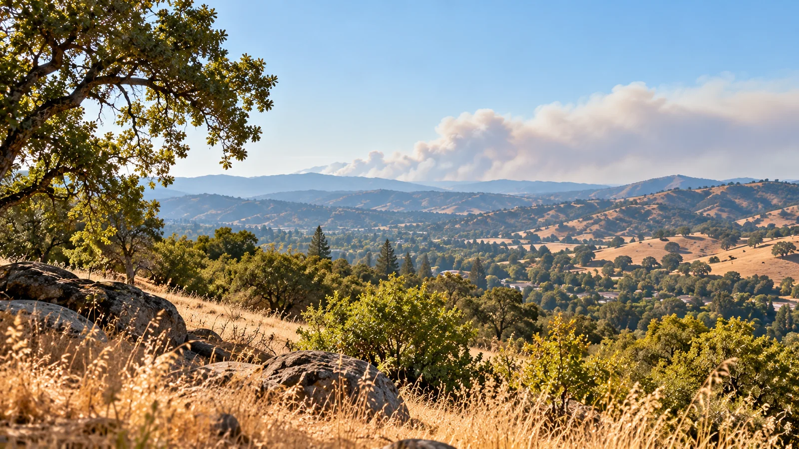 Waldbrände, Rauch und Evakuierungswarnungen in Kalifornien verstehen